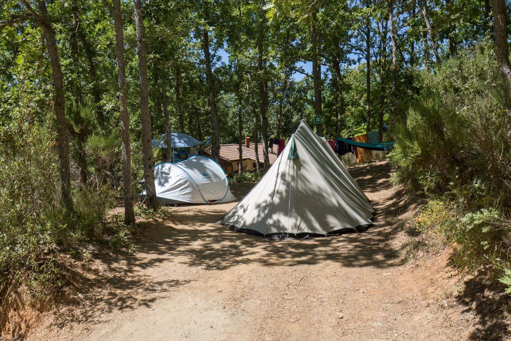 Micro Cabana Rotativa Braganca Bagian luar foto